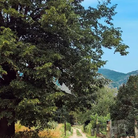 10 Personnes La Petite Ferme D'en Courtiels Prázdninový dům
