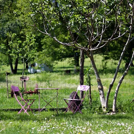 10 Personnes - La Petite Ferme D'en Courtiels Semesterbostad Sinsat