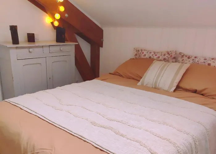 10 Personnes La Petite Ferme D'en Courtiels 別荘 Sinsat