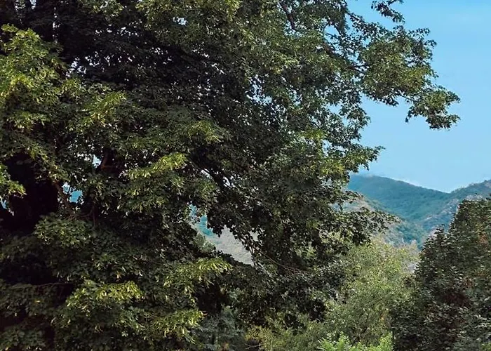 D'escalade 10 Personnes La Petite Ferme D'en Courtiels Hébergement de vacances