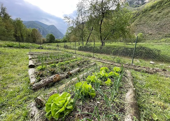 Hébergement de vacances D'escalade 10 Personnes La Petite Ferme D'en Courtiels *